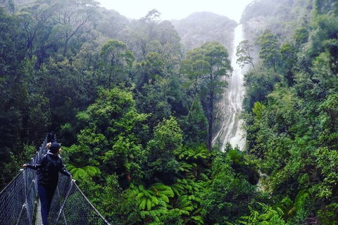 3 Day Tasmanian Wild West Coast Tour From Hobart To Launceston - Accommodation Resorts 4