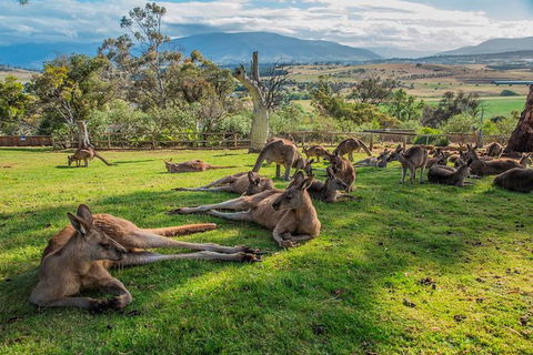 2 Day - Two Of Tasmania's Best Tour - Accommodation Resorts 1
