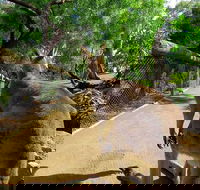 Wilderness and Wildlife - Accommodation Resorts