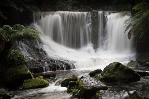 Mt Field National Park Premium Private Photo-oriented Day Tour From Hobart - Accommodation Resorts 0