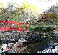 Small-group tour from Hobart Native Flora and Fauna incl. Royal Bot. Gardens - Accommodation Resorts