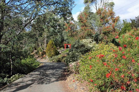Small-group Tour From Hobart: Native Flora And Fauna, Incl. Royal Bot. Gardens - Accommodation Resorts 11
