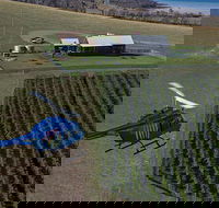 Bangor Vineyard Shed Helicopter Tour - Accommodation Resorts