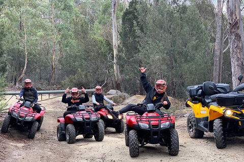 Quad Bike 2-Hour Adventure: Freycinet National Park - Accommodation Resorts 4