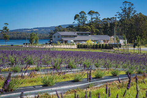 Private Port Arthur Historic Site Day Trip From Hobart - Accommodation Resorts 1