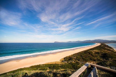 Private Bruny Island Food And Wine Day Trip From Hobart - Accommodation Resorts 1
