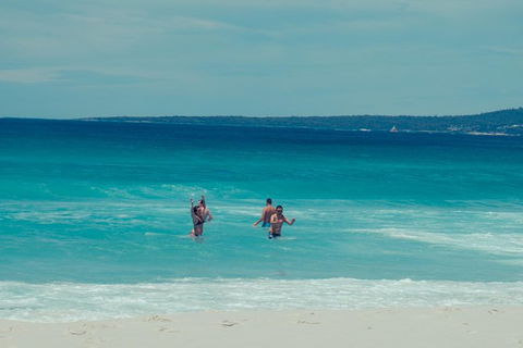 Full-Day Tour To Wineglass Bay From Hobart - Accommodation Resorts 5