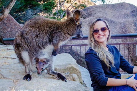 Full-Day Tour To Wineglass Bay From Hobart - Accommodation Resorts 9