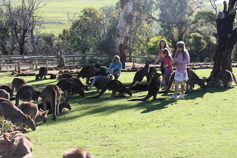 The Port Arthur MEGA Day Trip From Hobart - Accommodation Resorts 5