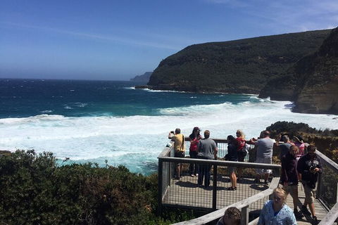 The Port Arthur MEGA Day Trip From Hobart - Accommodation Resorts 4