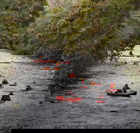 Meander Wilderness Experiences - Accommodation Resorts