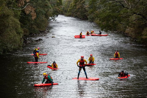 Meander Wilderness Experiences - Accommodation Resorts 3
