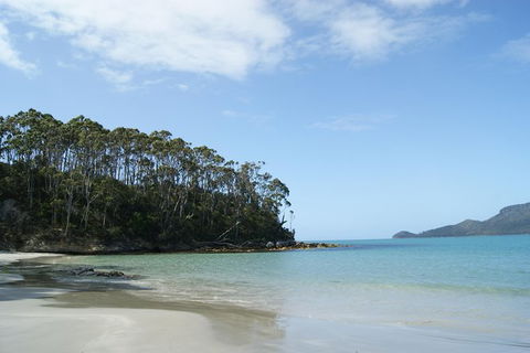 Bruny Island Day Trip From Hobart - Accommodation Resorts 2
