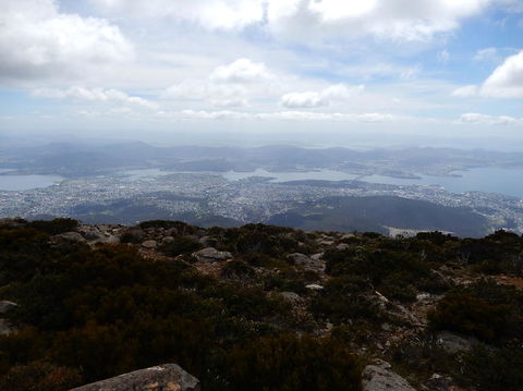 Cruise Ship Special Ex Hobart: Mt Wellington, Richmond, Bonorong With Free WiFi - Accommodation Resorts 10