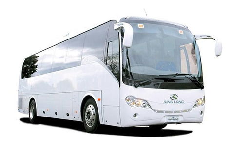 Cruise Ship Special Ex Hobart: Mt Wellington, Richmond, Bonorong With Free WiFi - Accommodation Resorts 19