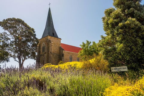 Cruise Ship Special Ex Hobart: Mt Wellington, Richmond, Bonorong With Free WiFi - Accommodation Resorts 18