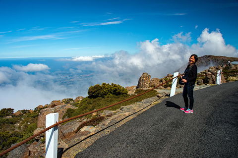 Small-Group Tour From Hobart: Mt Wellington, Bonorong Wildlife Park And Richmond - Accommodation Resorts 12