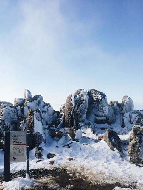 Small-Group Tour From Hobart: Mt Wellington, Bonorong Wildlife Park And Richmond - Accommodation Resorts 3