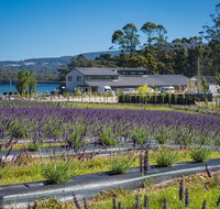 Private Tasman Peninsula Cruise Ship Tour from Port Arthur - Accommodation Resorts