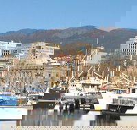 Private Mt Wellington Richmond Bonorong Wildlife Sanctuary Tour from Hobart - Accommodation Resorts