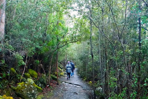 Hobart Hop-On Hop-Off Bus & Kunanyi/Mt Wellington Tour - Accommodation Resorts 4
