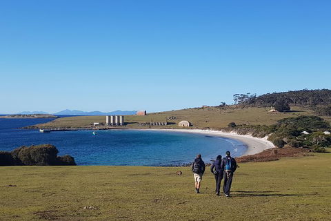 6-Day Best Of Tasmania Hiking Tour From Hobart - Accommodation Resorts 1