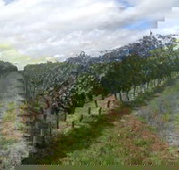 Coal River Valley  Hobart food  wine grazing tour - Accommodation Resorts