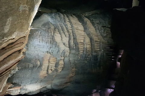 Leven Canyon And Gunns Plains Caves - Accommodation Resorts 3