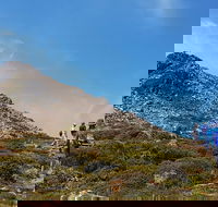 Hartz Peak Hiking Tour - Hartz Mountains National Park - Accommodation Resorts