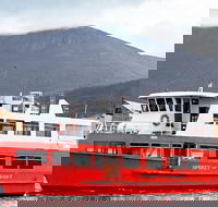 Mt Wellington and Harbour Cruise combo - Accommodation Resorts