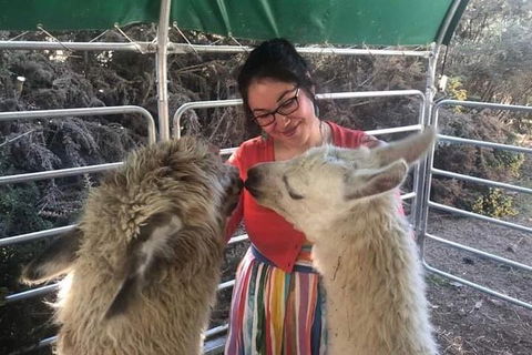 Farm Visit - Accommodation Resorts 1