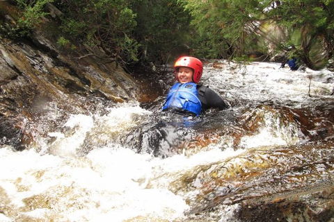 Half Day Cradle Mountain Canyoning: Lost World Canyon - Accommodation Resorts 0