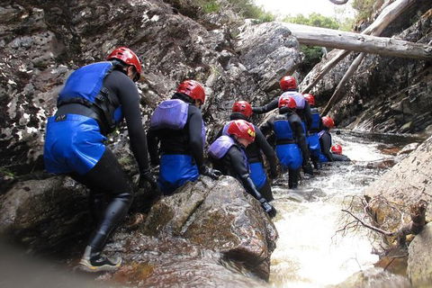 Half Day Cradle Mountain Canyoning: Lost World Canyon - Accommodation Resorts 1
