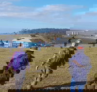 4-Day Hobart Adventure Tour Maria Island Cape Raoul Mount Field Cape Hauy - Accommodation Resorts