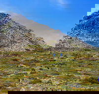 3-Day Hobart Adventure Tour Mount Field Cape Hauy and Hartz Peak - Accommodation Resorts