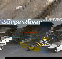 Launceston Cataract Gorge - Twilight wildlife local history walking tour. - Accommodation Resorts