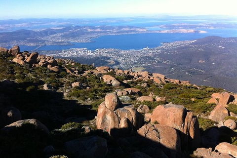 Mt Wellington ULTIMATE Tour, Most Comprehensive/ Best Value - Accommodation Resorts 1