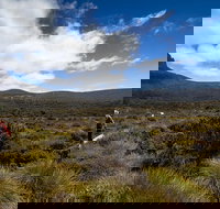 6-Day Overland Track PhotoTour - Accommodation Resorts