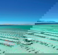 Coffin Bay Private Day Tour from Port Lincoln - A Taste of Coffin Bay - Accommodation Resorts