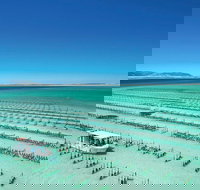 Coffin Bay Day Tour - A Taste of Coffin Bay - Accommodation Resorts