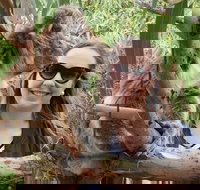 One Day Port Lincoln Tour - Tasting Eyre - Accommodation Resorts