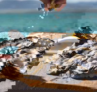 Experience Coffin Bay Short and Sweet Oyster Farm Tour - Accommodation Resorts