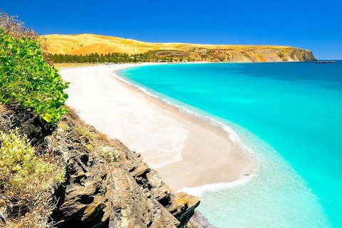 Fleurieu Explorer - Full-Day Tour - Accommodation Resorts 7