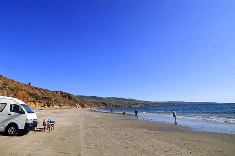 Fleurieu Explorer - Full-Day Tour - Accommodation Resorts 3