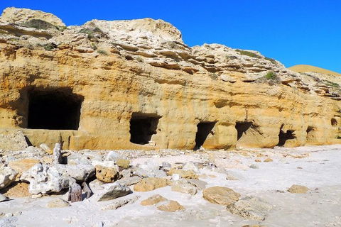 Fleurieu Explorer - Full-Day Tour - Accommodation Resorts 8