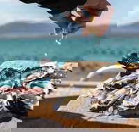 Experience Coffin Bay Oyster Farm and Bay Tour - Accommodation Resorts