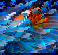 5-Day Best of Cairns with Daintree Kuranda and Great Barrier Reef - Accommodation Resorts