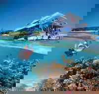 3-Day Southern Great Barrier Reef Tour Including Lady Musgrave Island - Accommodation Resorts