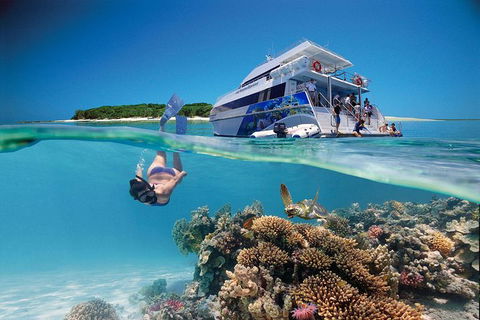 3-Day Southern Great Barrier Reef Tour Including Lady Musgrave Island - Accommodation Resorts 0