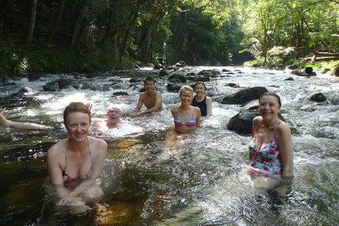 Daintree Rainforest, Cape Tribulation, Mossman Gorge In A Day - Accommodation Resorts 10